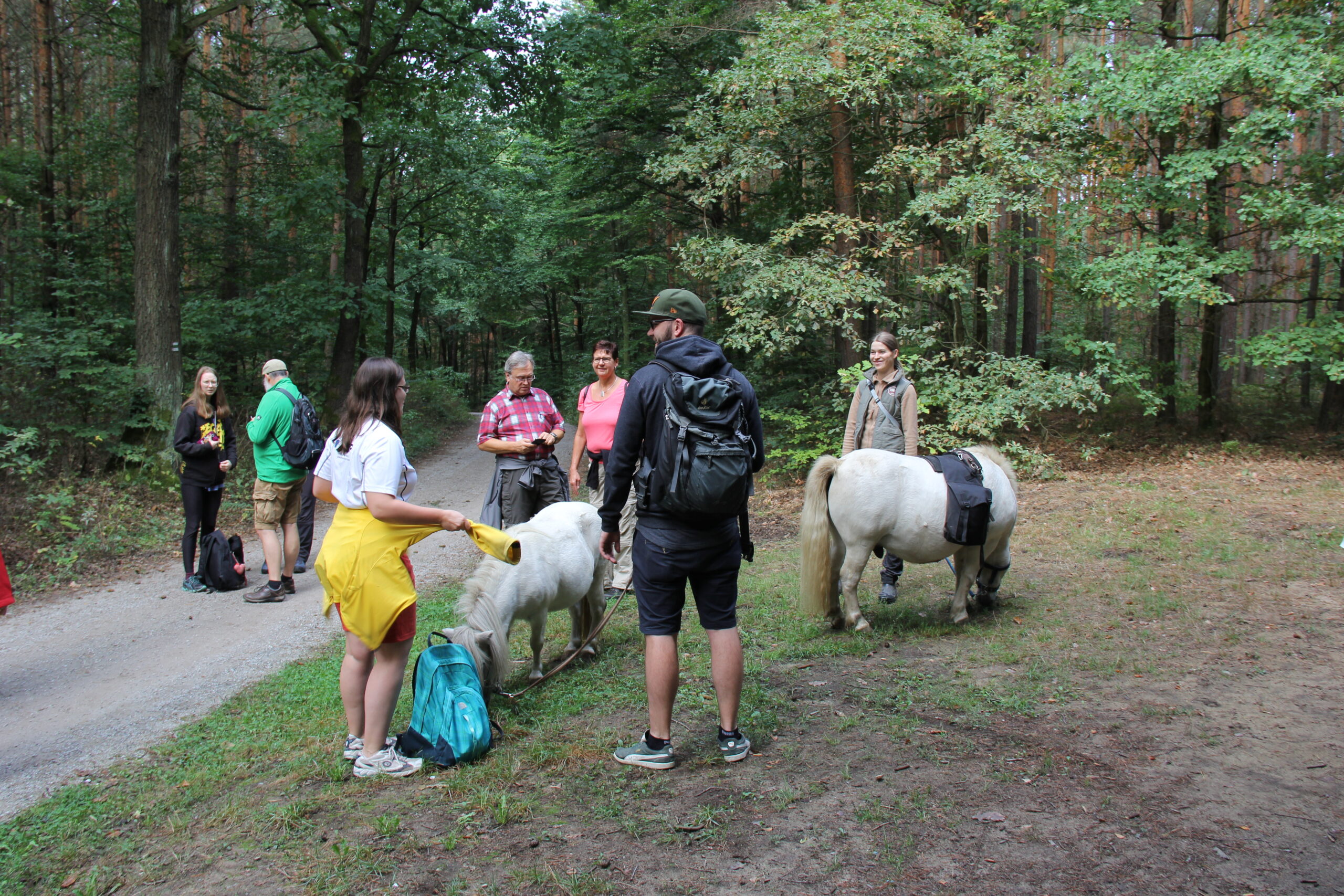 kurze Pause beim Wandertag 2018 in der Dresdner Heide mit zwei Ponys